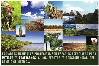 BIODIVERSIDAD - ¿Qué Es La Biodiversidad Y Cuál Es La Importancia De Su ...